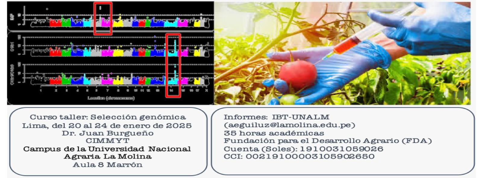 Curso_taller_genomica_programa